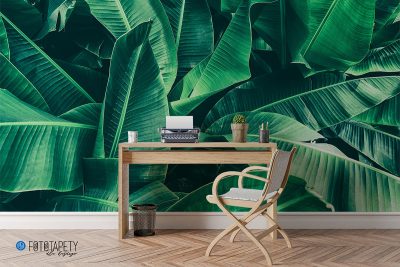 large green leaves - wall mural