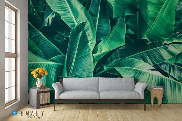 large green leaves - wall mural