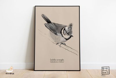 crested tit drawing - artistic poster