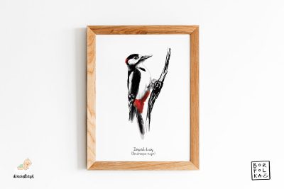 woodpecker drawing - artistic poster