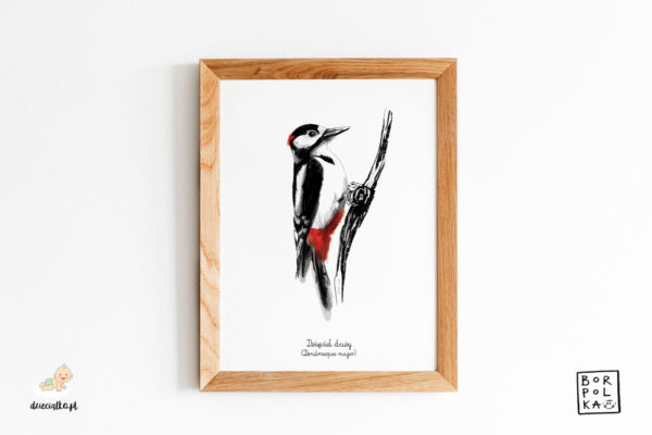 woodpecker drawing - artistic poster