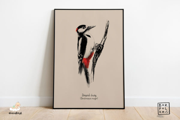 woodpecker drawing - artistic poster