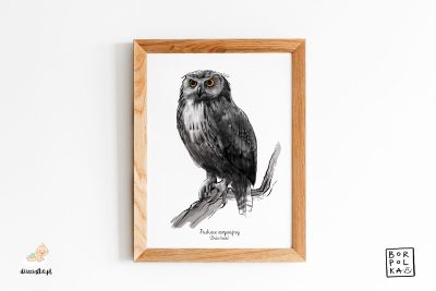 eagle owl drawing - artistic poster