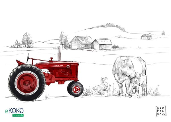 rural farm with animals and red tractor - children’s wall mural