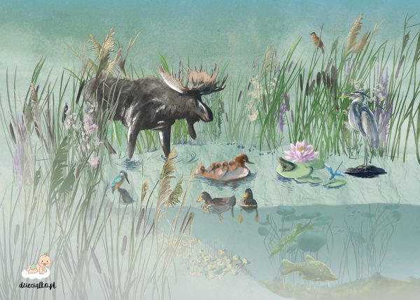 colorful pond full of plants and animals - children’s wall mural