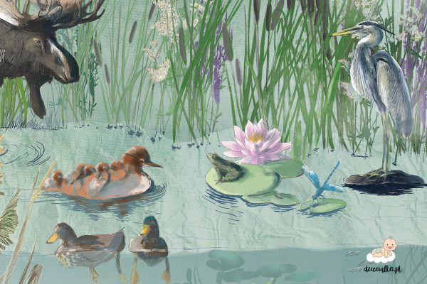 colorful pond full of plants and animals - children’s wall mural