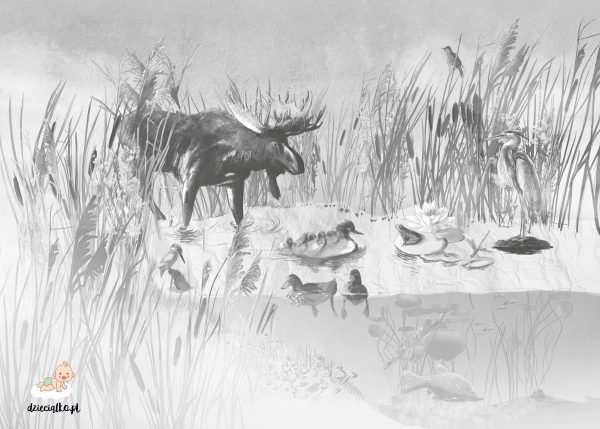 pond full of plants and animals in shades of gray - children’s wall mural