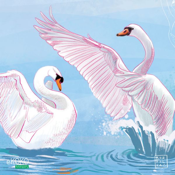 ballerinas and swans dancing together on the water - children’s wall mural