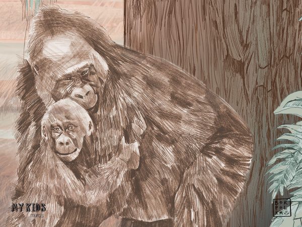 gorilla with cub - children’s wall mural