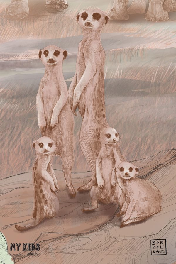 meerkats - children’s wall mural